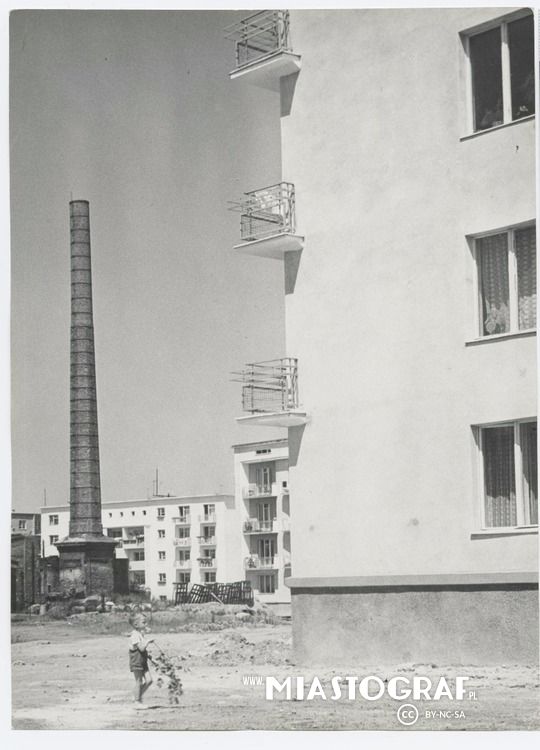 Zdjęcie, Tagore 5, Bloki mieszkaniowe na osiedlu Rokicie w Łodzi